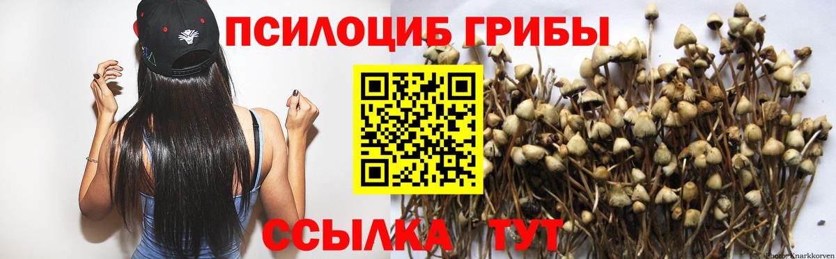 Псилоцибиновые грибы прущие грибы Мариинск