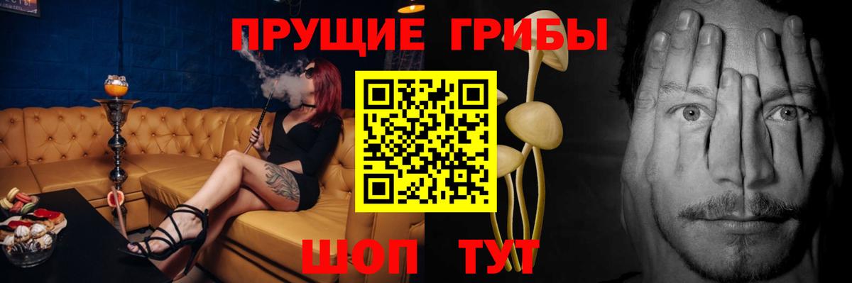 Галлюциногенные грибы MAGIC MUSHROOMS  Вход с VPN  наркошоп  Мариинск  Псилоцибиновые грибы мицелий 